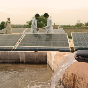 PM Sharif Orders Shift to Electric Motorcycles for Government Use