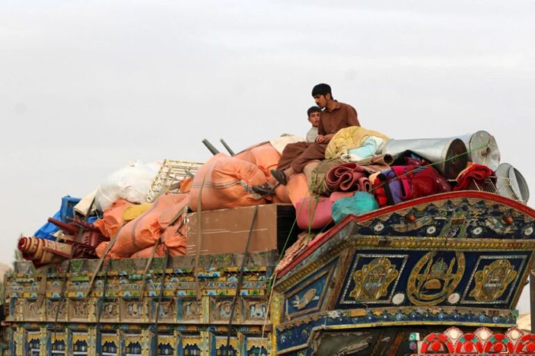 Afghan Repatriation Efforts Stir Memories, Raise Hopes