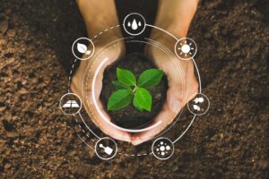 Green Pakistan Programme: 2.26Bn Trees Planted, Restored, and Distributed