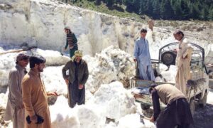 PHC Bans Glacier Cutting in Upper Dir, Warns Of Climate Impact