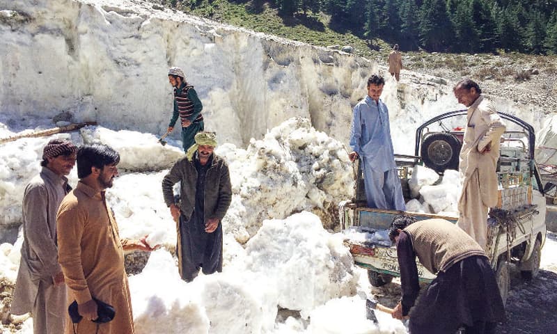 PHC Bans Glacier Cutting in Upper Dir, Warns Of Climate Impact
