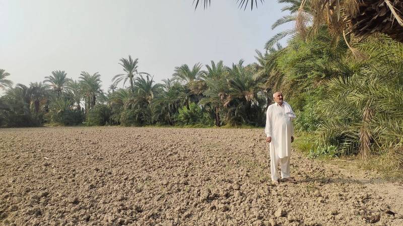 Govt Makes Tree Plantation in KP Mandatory Across Public Institutions