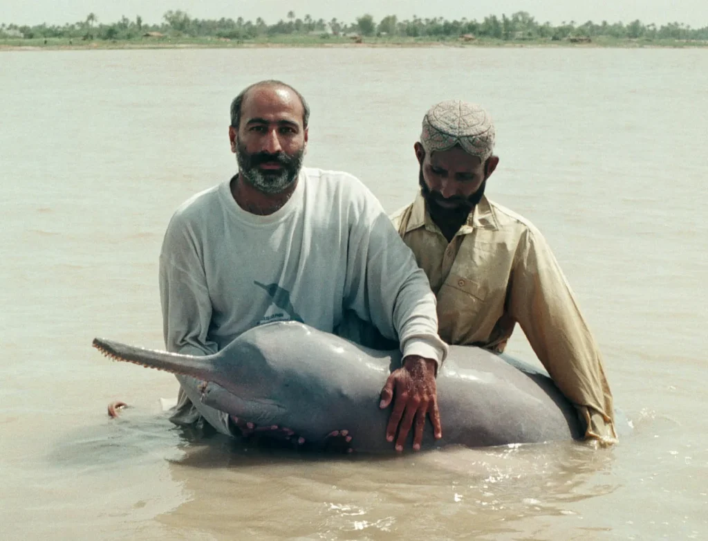 Indus Blind Dolphin Conservation