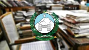 Civil Society White Paper Exposes 'Pioneer's Paradox' In KP Local Governance