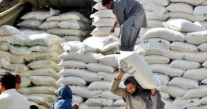 Pakistan Needs A Long-Term Wheat Policy