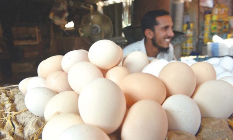 Pakistan’s Eggs Find A New Market: America Joins the Export List