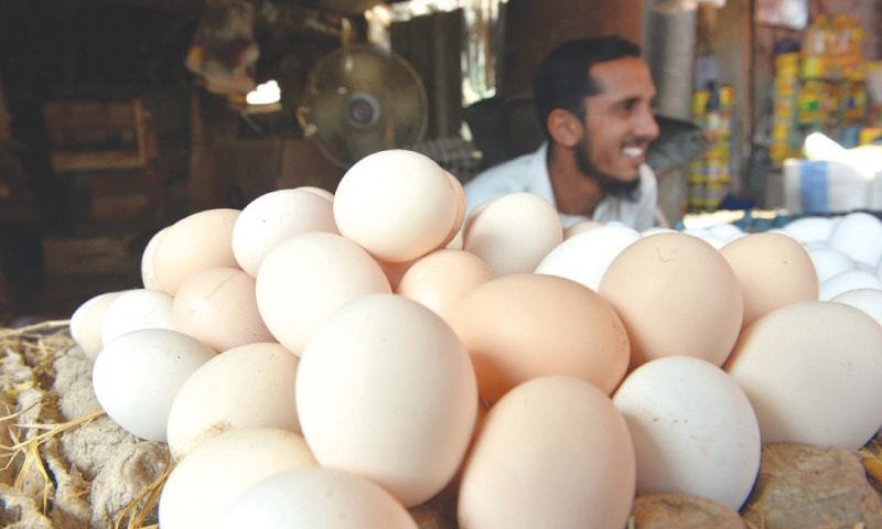 Pakistan’s Eggs Find A New Market: America Joins the Export List