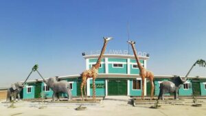 Peshawar High Court Orders Five-Year Audit of Zoos, Wildlife Parks