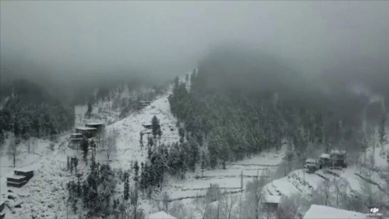 9 Dead as PDMA Issues Critical Winter Weather Emergency Report