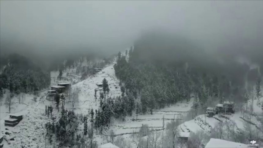 9 Dead as PDMA Issues Critical Winter Weather Emergency Report