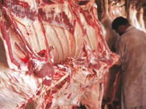 KP Announces Radical Overhaul of Food Safety Standards