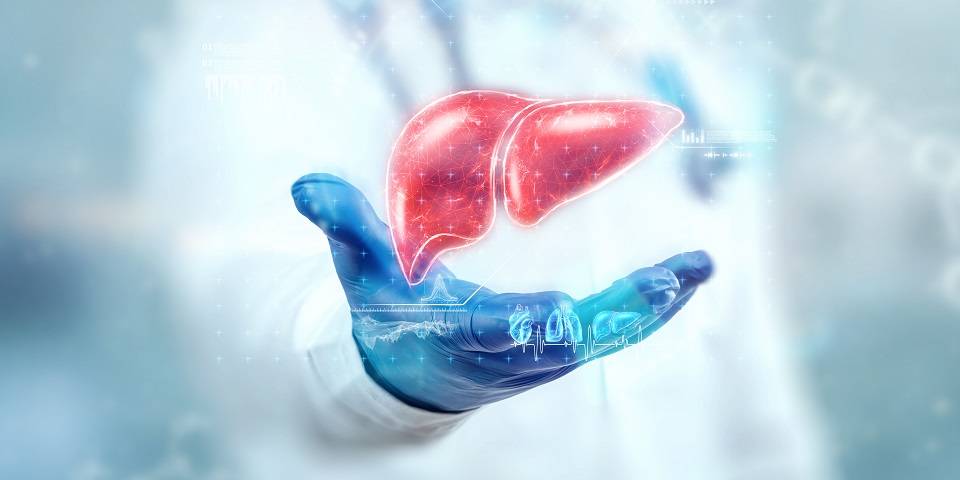 Protecting Your Liver: A Guide to the Rising Silent Epidemic