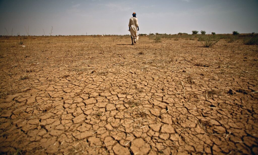 Severe Drought Threat Looms Over High-Risk Districts: Federal Govt Sounds Alarm