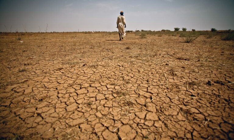 Drought-Affected Districts in Pakistan: Federal Govt Sounds Alarm Over Looming Famine Risk