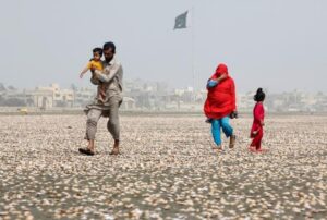 PMD Alert: Dangerous 'Karachi Coastal Heatwave' Threatens City as Humidity Soars