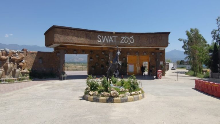 Swat Zoo Handed a Shocking Rs1,000 Budget — Less Than a Single Meal