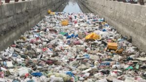 Plastic Pollution in Pakistan: An Escalating Environmental Threat